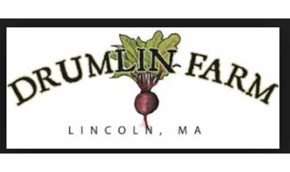 Big image screen shot 2019 02 21 at 10.09.56 pm