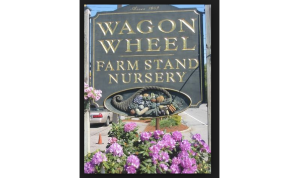 Big image screen shot 2019 02 21 at 10.28.59 pm