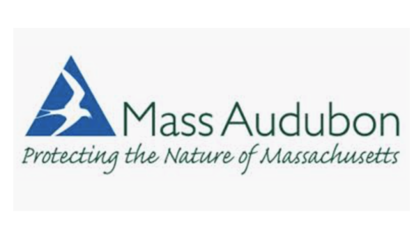 Big image screen shot 2019 02 21 at 10.36.21 pm