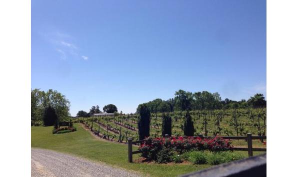 Big image ingleside plantation 1 