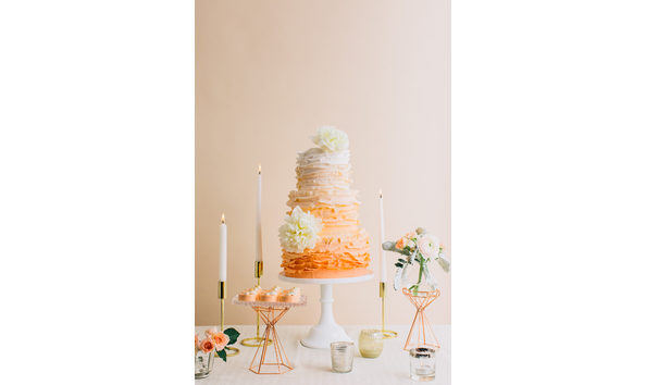 Big image sugarsuckle 40