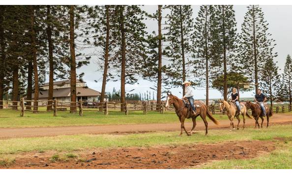 Big image four seasons lanai 4