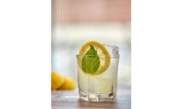 Big image ginbasilsmash