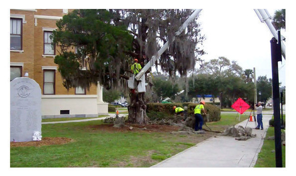 Big image mini magick20190225 33007 chx3si