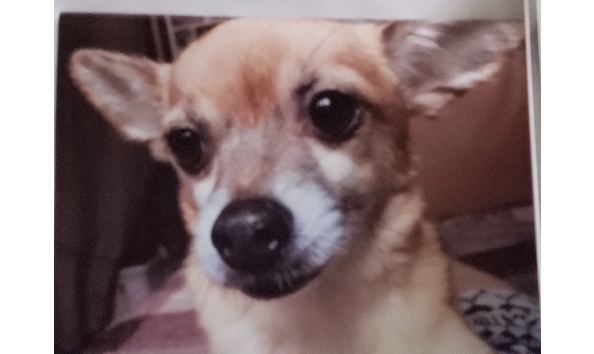 Big image 20190225 133846