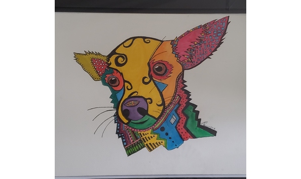 Big image 20190225 133716