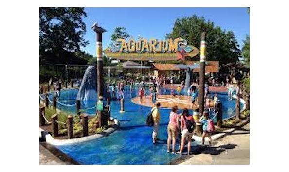 Big image toledozoo2