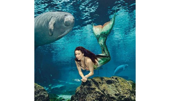 Big image mini magick20190226 118591 1vhhlnt