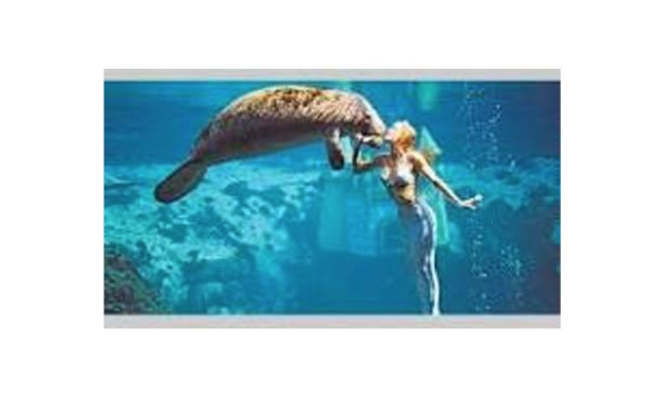 Big image mini magick20190226 118591 rspneu