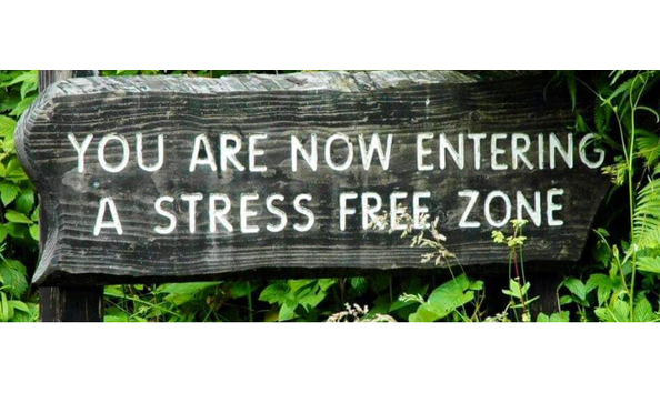 Big image bill potter massage