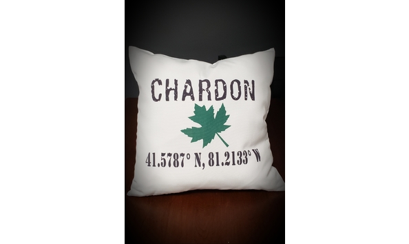 Big image laughinggirldesignchardonpillow