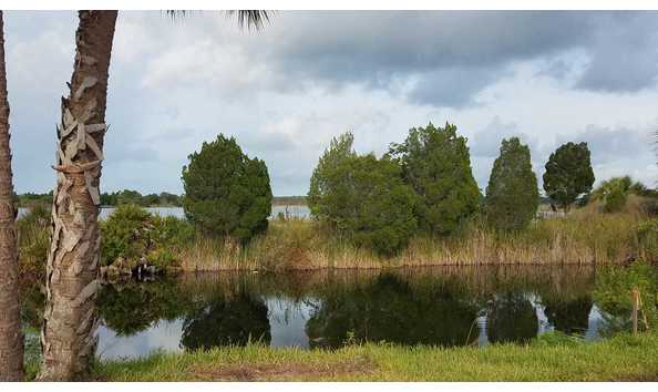 Big image drunken mullet1