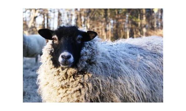 Big image spinning lesson