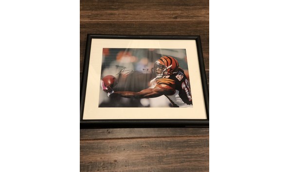 Big image sportsofficebundle4