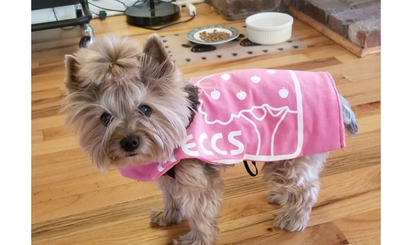 Big image izzy teccs