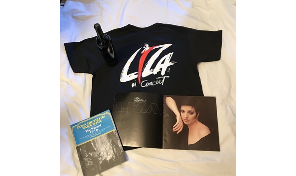 Big image liza minelli stuff