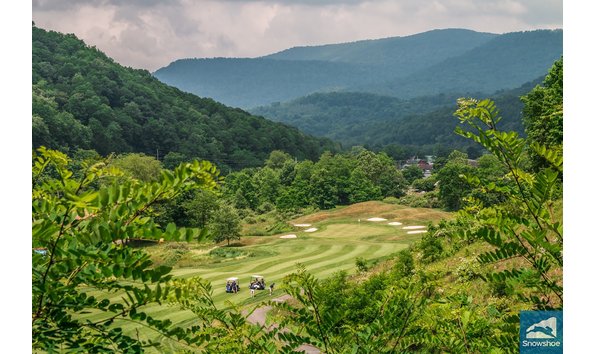 Big image raven 1 min.ashx