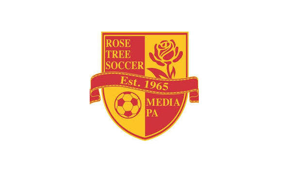 Big image rose tree soccer