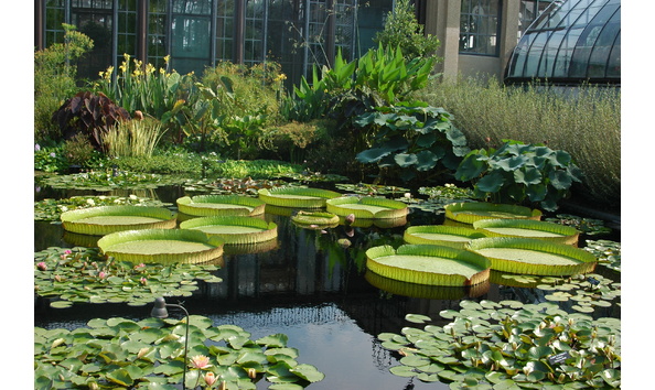 Big image dsc 0274 1 