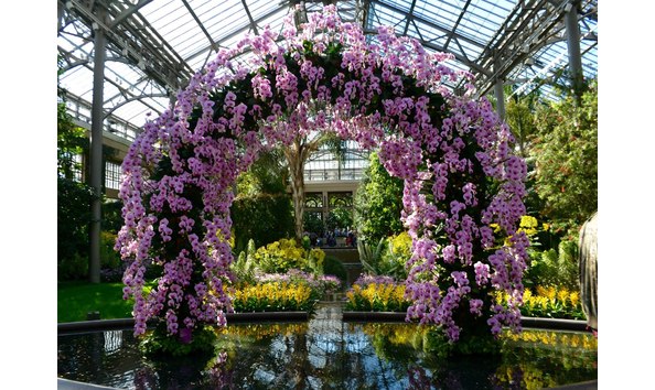 Big image dsc 0977 1 