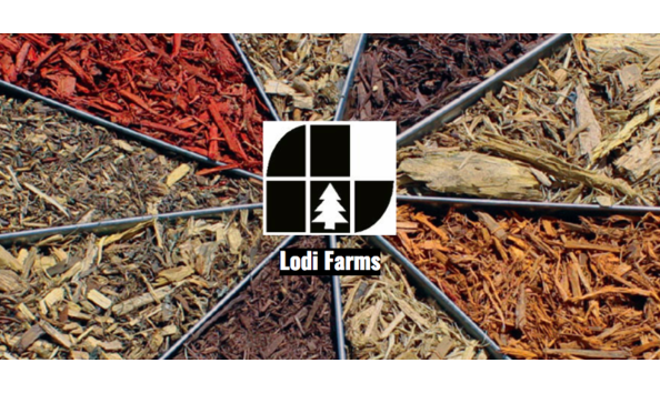 Big image big image screen shot 2018 02 22 at 12.44.55 pm