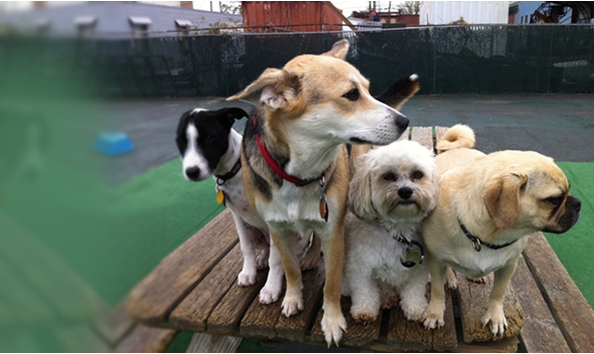 Big image group shot2