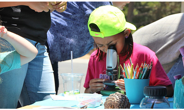 Big image badm microscope