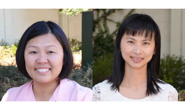 Big image ducks in a row collage 1  1 