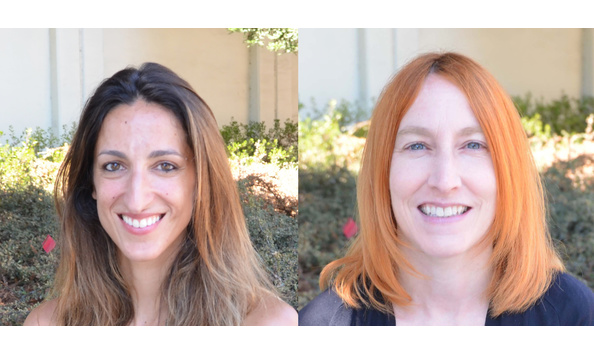 Big image ducks in a row collage 1  2 