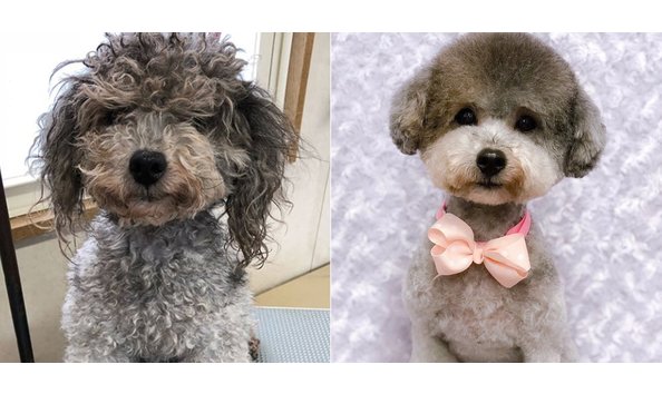 Big image 5b369e7ecb2acb1e008b464b 1334 667