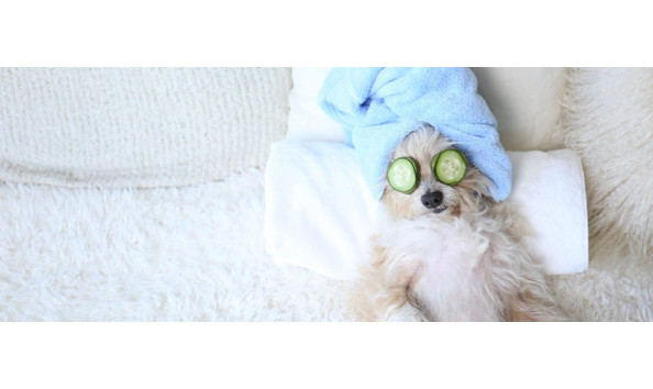 Big image cf4a1321 edited 640x250