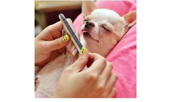 Big image 2e78da7a51c6d5d14799f416d71f7be2