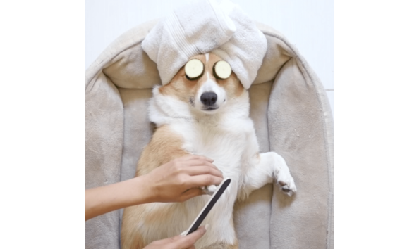 Big image screen shot 2017 04 03 at 10.29.48 am