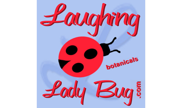 Big image 25175 1387498694864 8193149 n