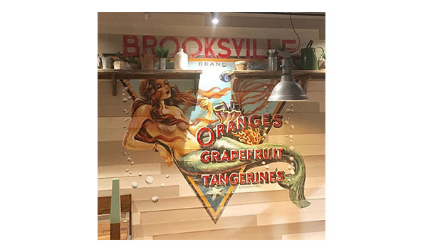 Big image first watch1