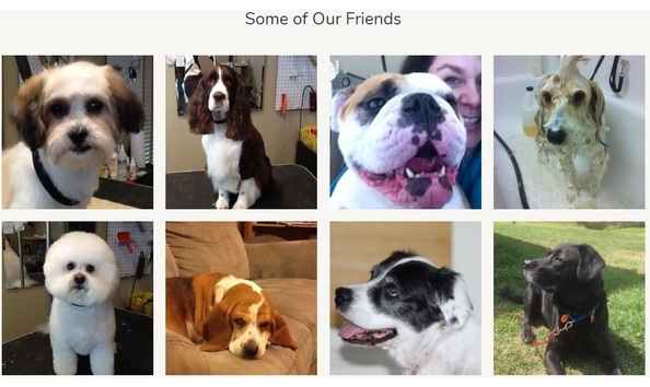 Big image allison s friends