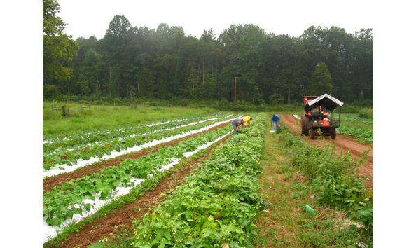 Big image lar lyn farms dillwyn virginia 2013 08 006 1 