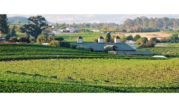 Big image about us header2