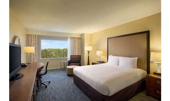 Big image hilton bc 3