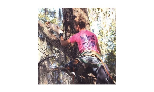 Big image mini magick20190317 45032 1q9ia1x