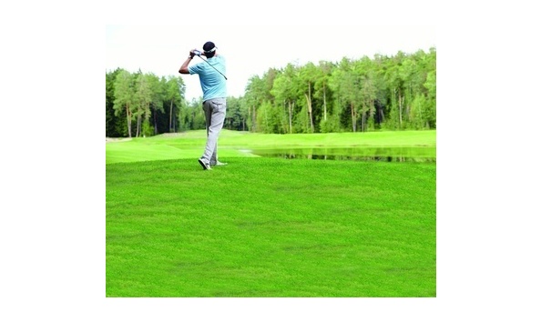 Big image mini magick20190318 1587 1tsz4wv