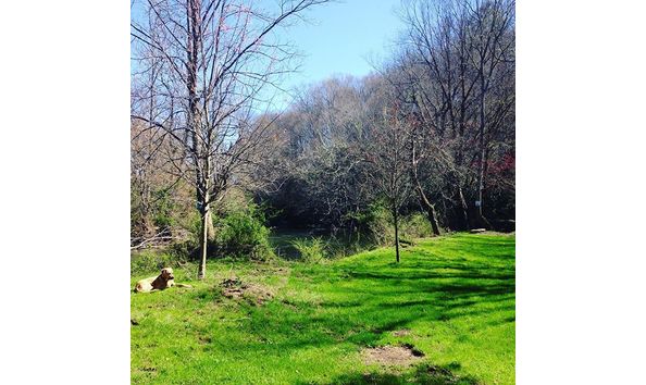 Big image fb camping2