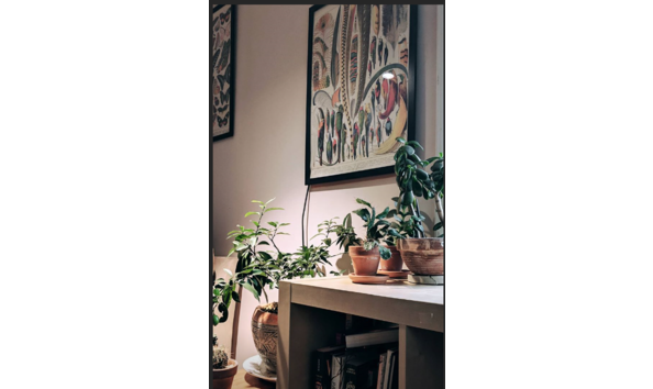 Big image freshgreens3