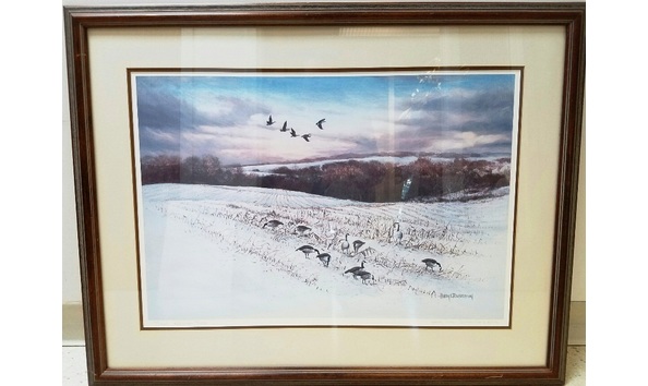 Big image feeding time