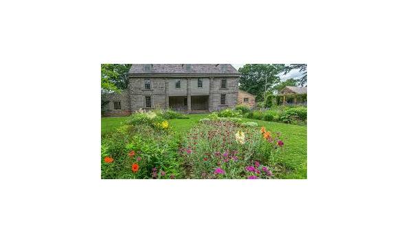 Big image download  3 