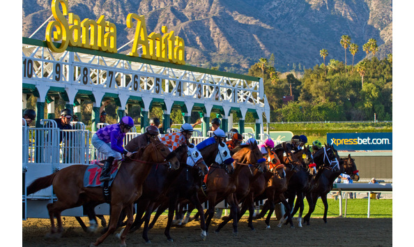 Big image mini magick20190323 47225 j2w9i4