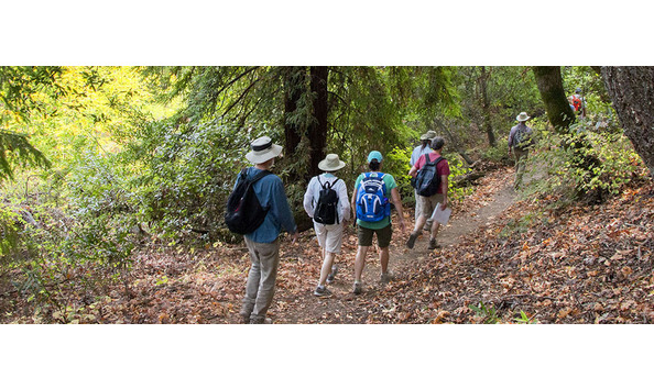 Big image summer hike banner