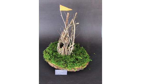 Big image img 0569  1 