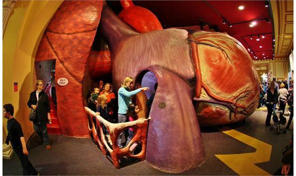 Big image 23577 1721