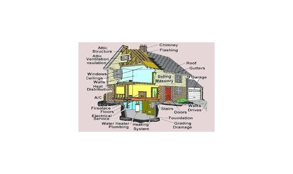 Big image download  4 